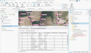 Utiliser des images orientées dans ArcGIS