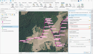 Utiliser des images orientées dans ArcGIS