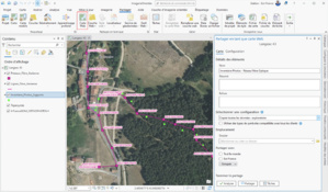 Utiliser des images orientées dans ArcGIS